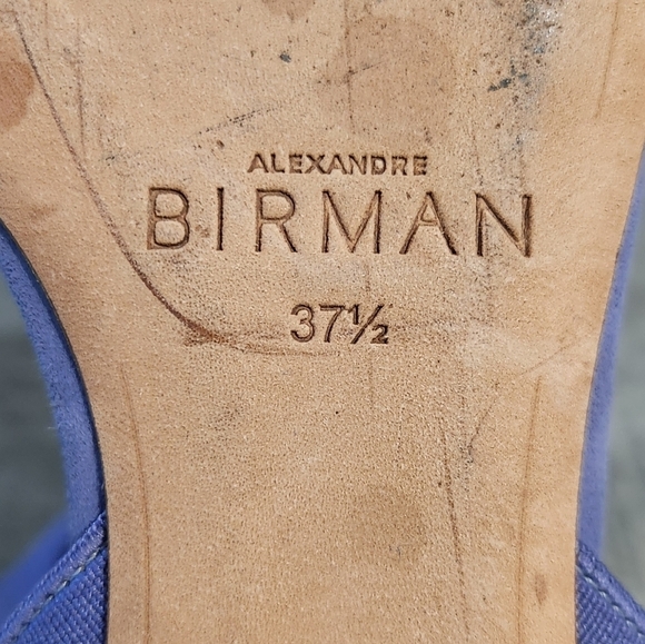 Alexandre  Birman Suede Strapy Sandals - Picture 13 of 15